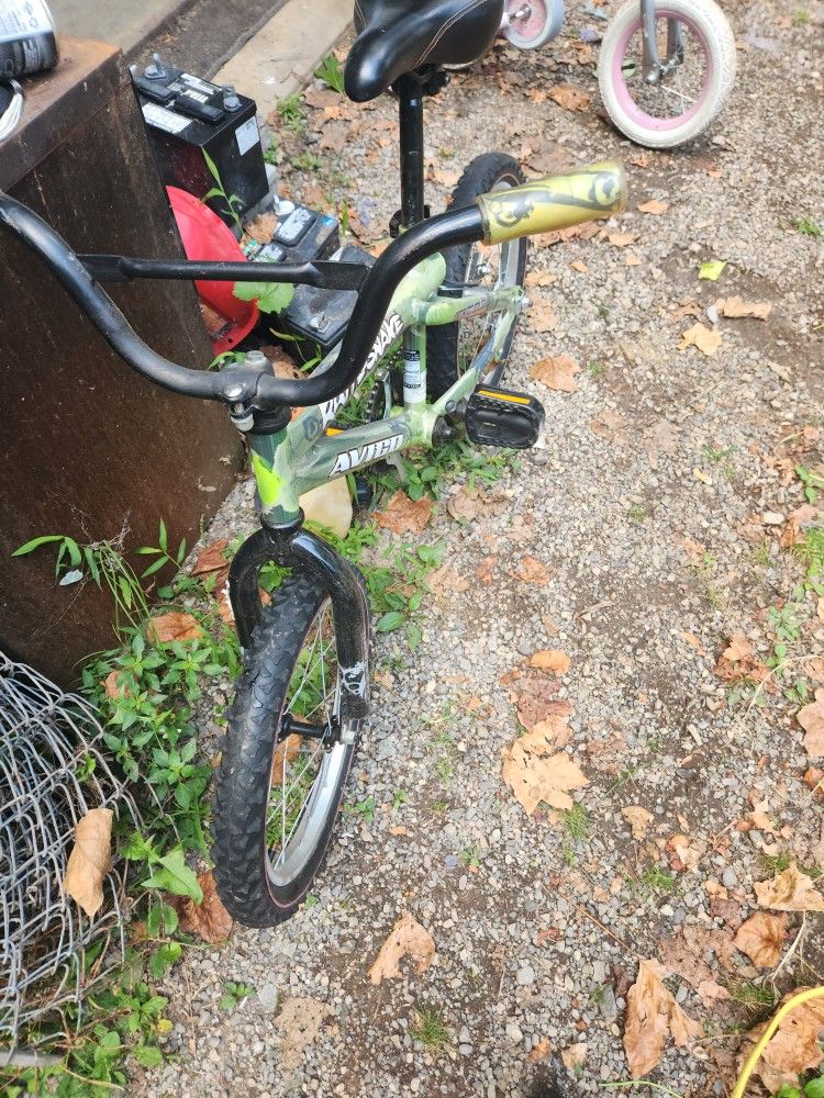 16" Avigo Rattlesnake Bike