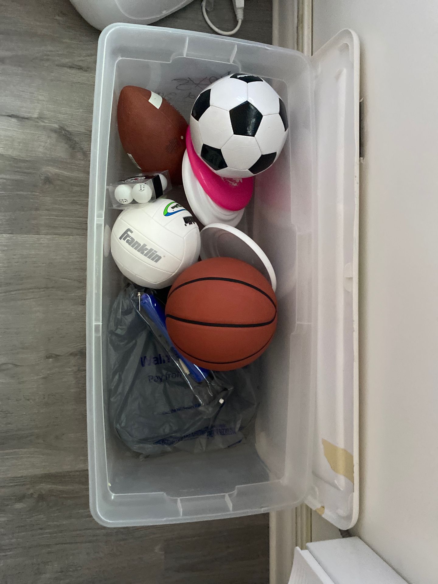 Assorted Sports Balls, 3 Frisbees, Ball Pump and 3 Foam Seatees