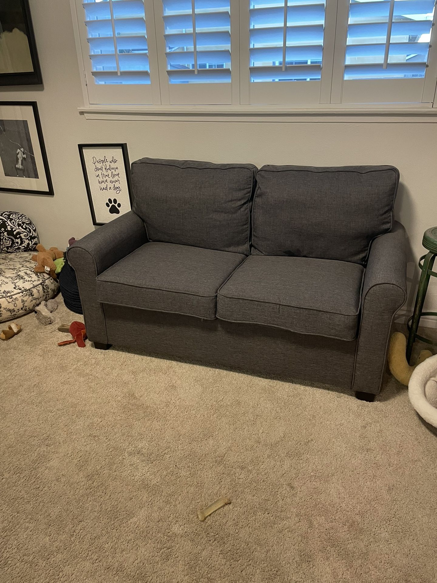 Grey Love Seat With Pull Out Twin Bed