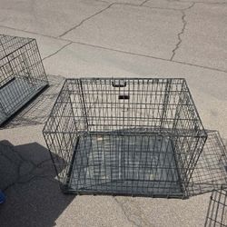 Xlarge And Large Kennel 