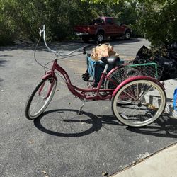 Adult Tricycle With Hitch