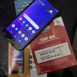 Simple Mobile Blu View 2