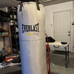 zeewier Analist vos Everlast Punching bag for Sale in El Paso, TX - OfferUp