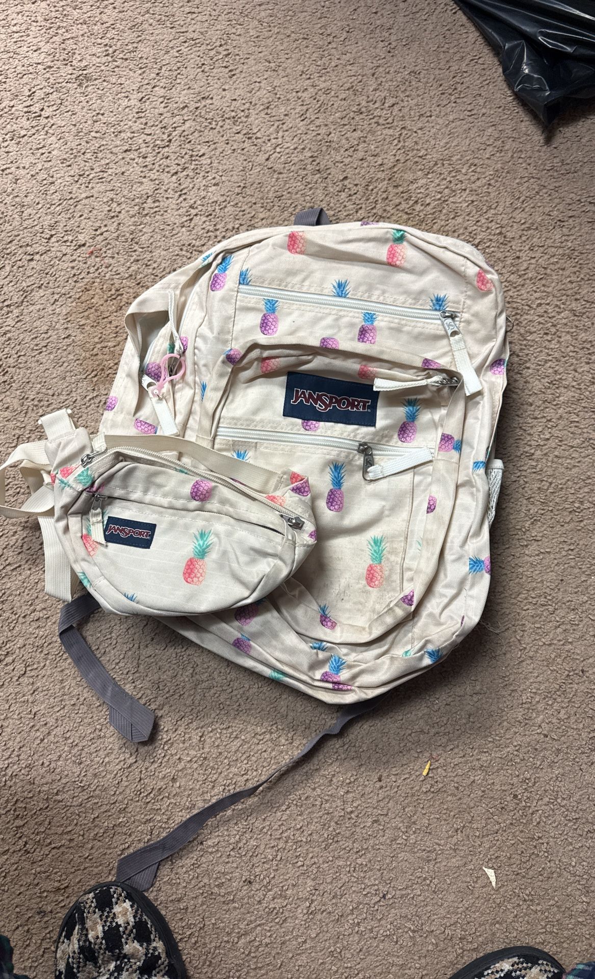 Jansport Backpack And Matching Fanny Pack