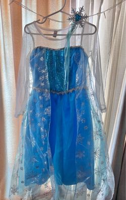 Frozen Costume