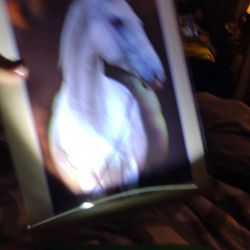 Póster Plástico 3d
