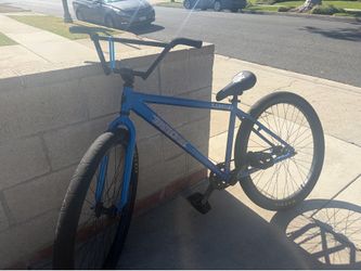 29" Blue crush