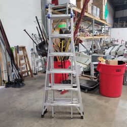 2 Wermer Multi Purpose Ladders 