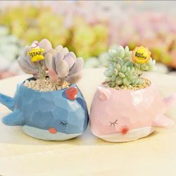 Flower pot, Resin Succulent Pot