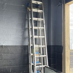 Ladder For Sale 