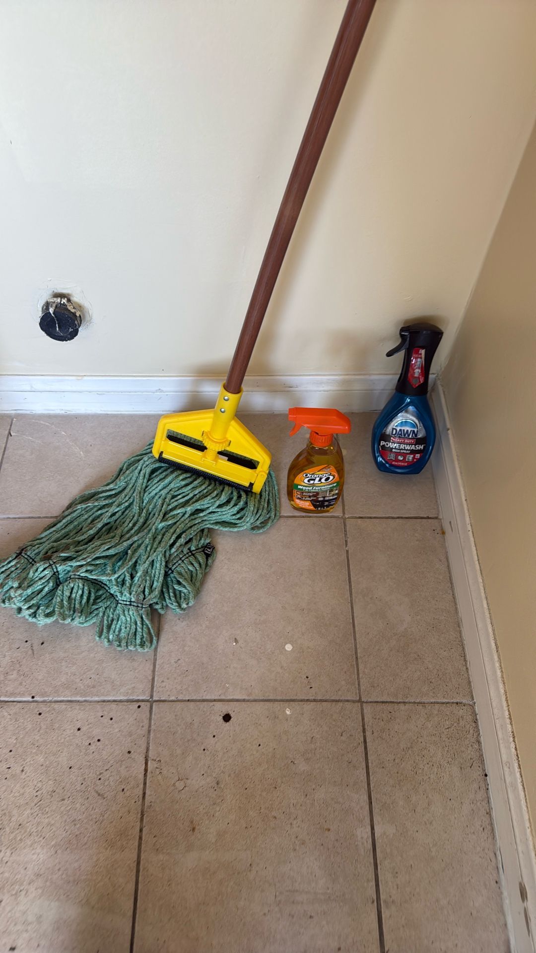 Young Lady To Help Cleaning