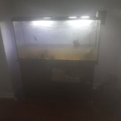 Fish Tank Turtle Tank