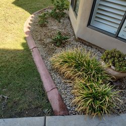 Curbing And Plants  $1 !!!!  Redoing Landscape 