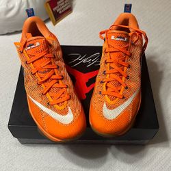 Lebron James 12 Low
