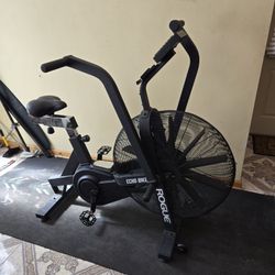 Rogue Fitness Echo Bike v2 
