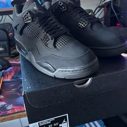 Air Jordan 4 “Black Cat” (2025 Release) – Size 9.5 – Brand New