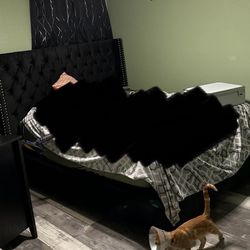 Upholstered Velvet Queen Size Bed (Black)