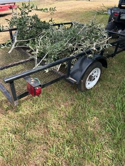 Big Tex utility trailer