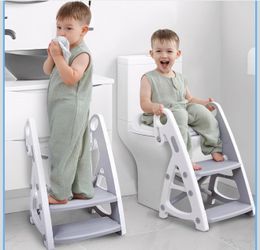 2 In 1 Potty Training Toilet With Step Stool