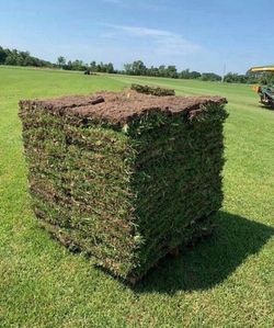 St Augustine Sod 4 Sale