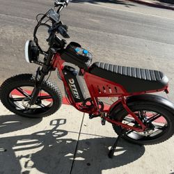 DTTZH 1000W Peak Electric Bike for Adults,, 30 mph-24-60 Miles E-Mountain Bike, 20" x 4" Fat Tire Off-Road Ebike, 48V/15.6Ah