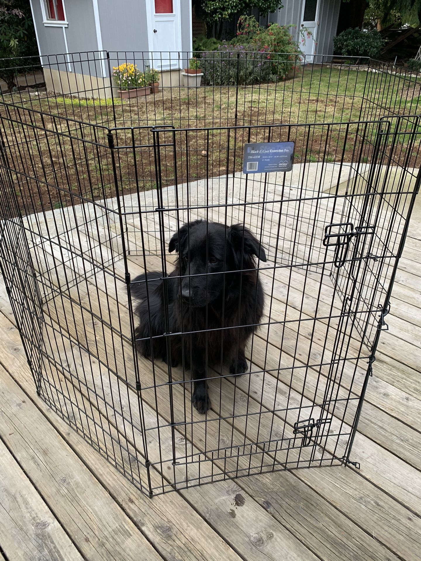MidWest Home For Pets