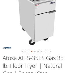 Atosa Fryer 