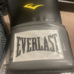 Everlast Boxing  Gloves  And Head Gear
