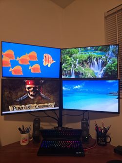 $60 each or $200 for all 4 - 24-in Dell monitors