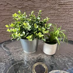 Fake Plants In Pots