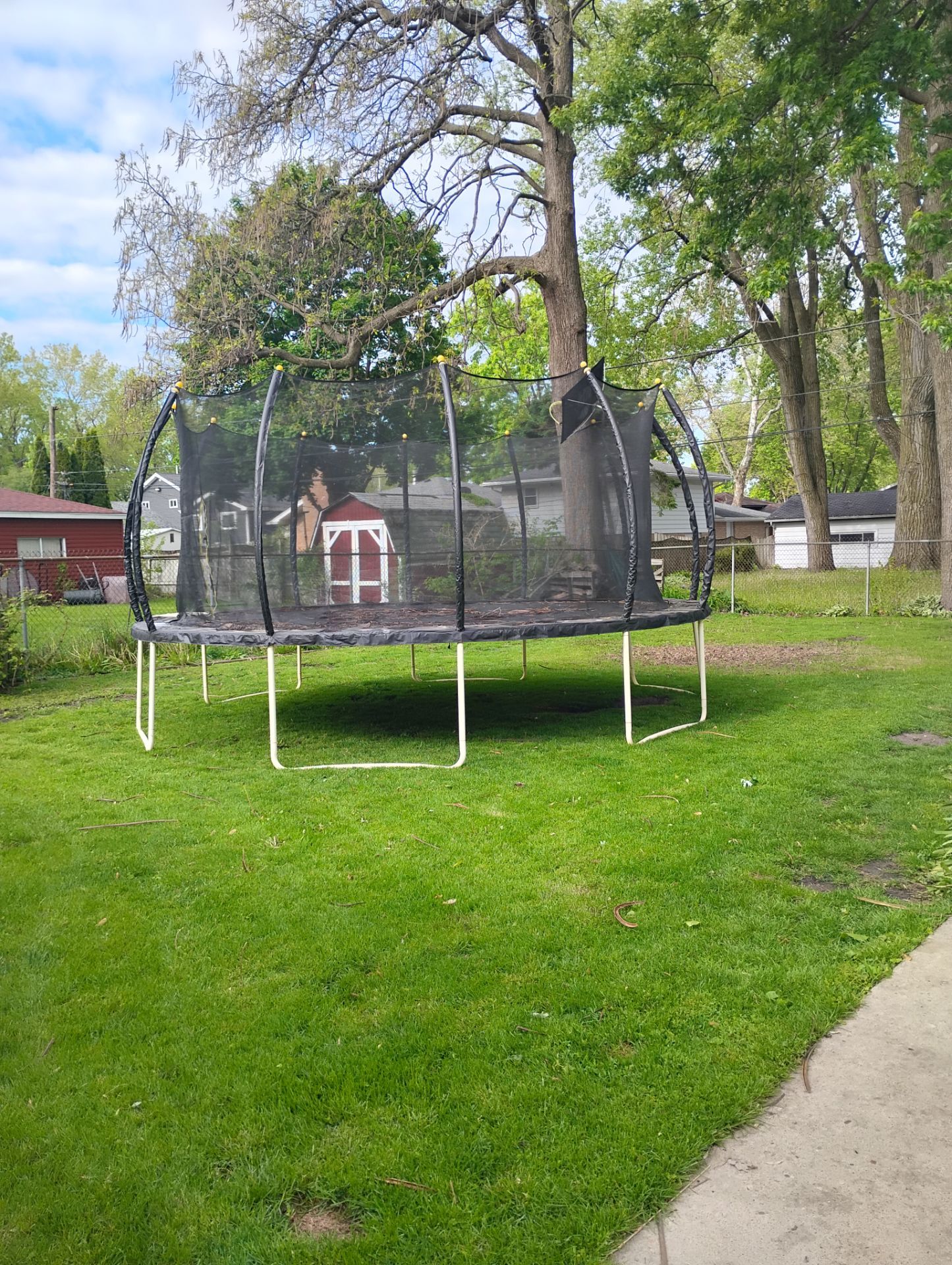FREE trampoline (Still available if you see this)