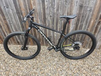 Cannondale trail store 2 2019