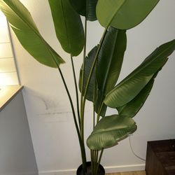 Decorative Fake Plant, Large