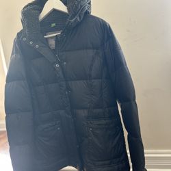 UGG Winter Coat 