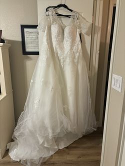 Wedding Dress Size 24W & Veil