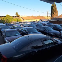 Cars For Sale 