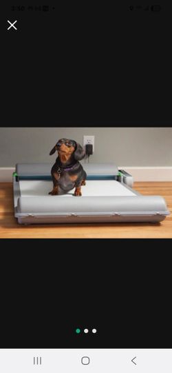 BrilliantPad indoor dog potty trainer.