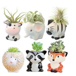 Cute Air Plant Holders Cartoon Shaped Small Succulent Pot (Set Of 6)