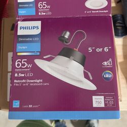 Philips Dimmable Led Daylight 65w.5 or 6in