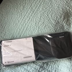 Sony Personal Audio System
