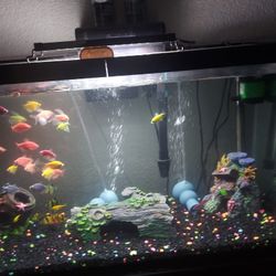 29 Gallons Fish Tank 
