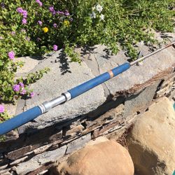 Calstar 665H 5’6” 30-80lb Saltwater Fishing Rod