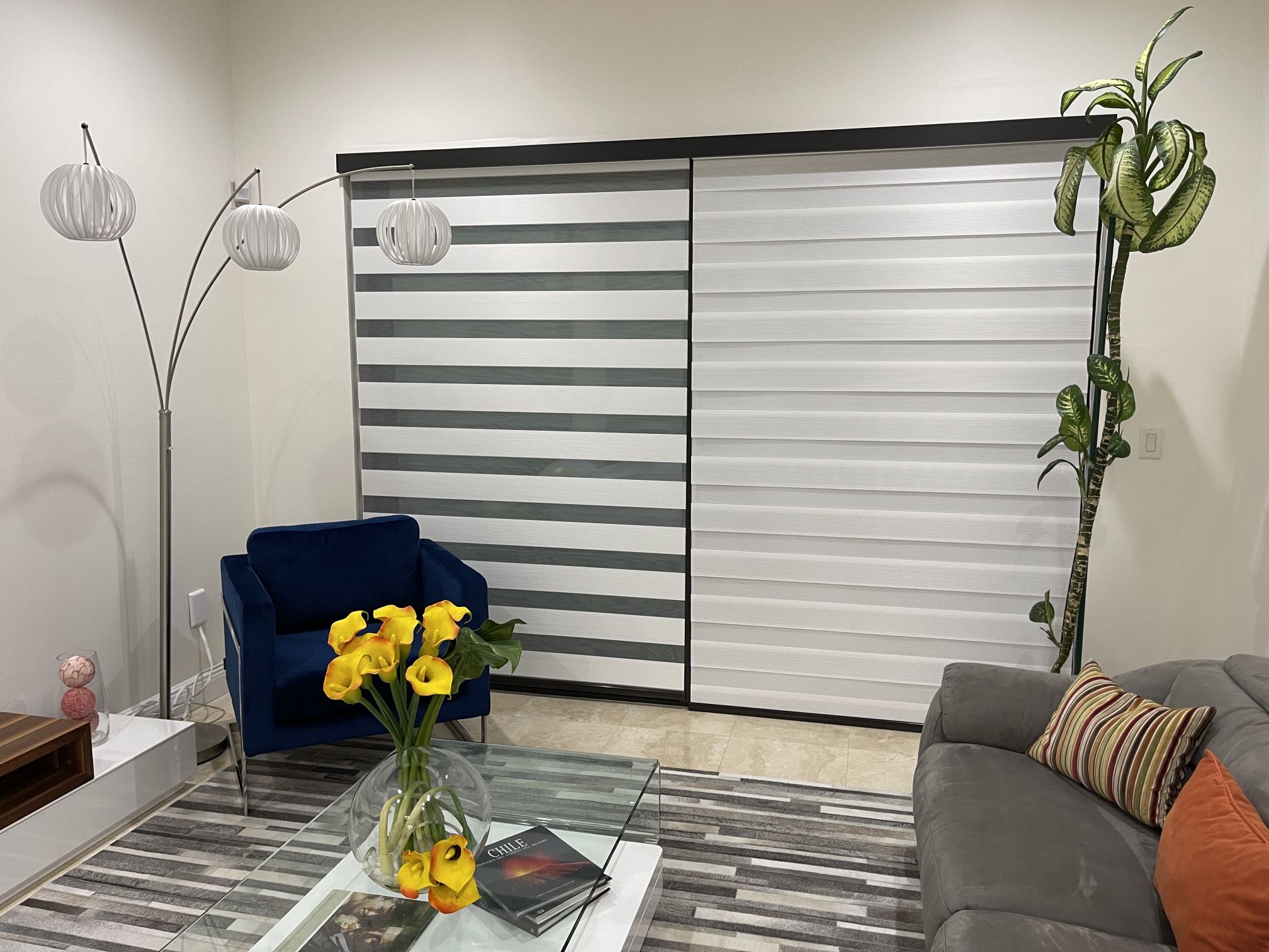 Zebra Blinds Motorized Shades Roll Up Shades