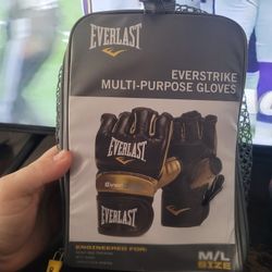 NEW Everlast M/L Men's Boxing Gloves