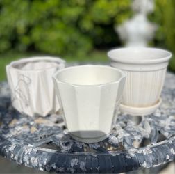 Plant Pottery