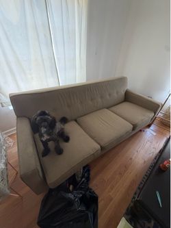 beige couch - flexible price
