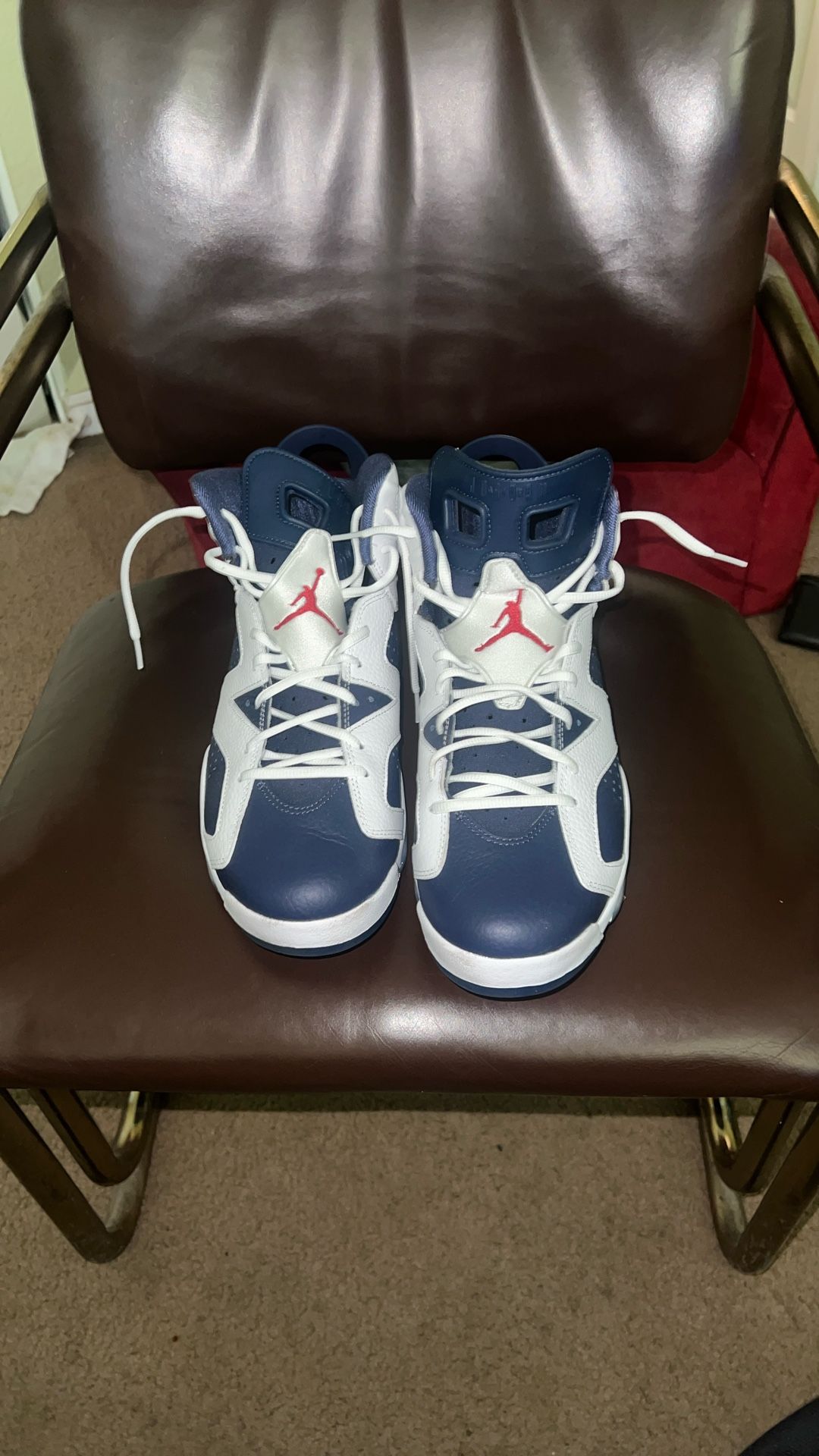 Olympic Jordan 6s