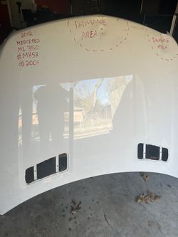 ML 350 Hood
