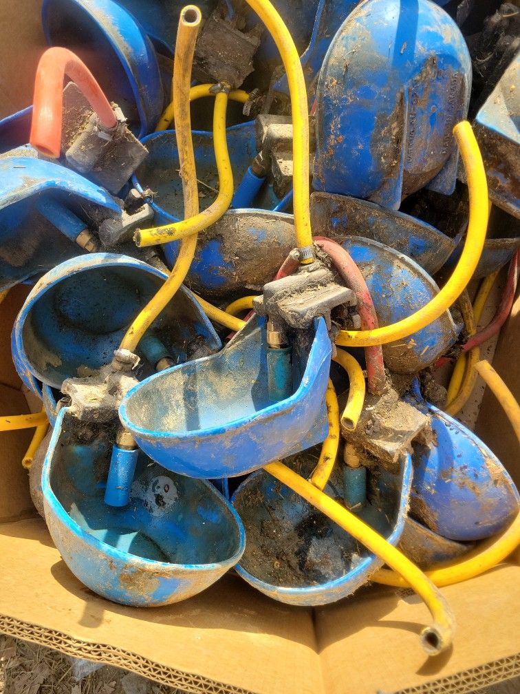 Water Bowls