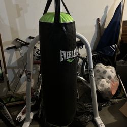 Punching Bag/stand/gloves